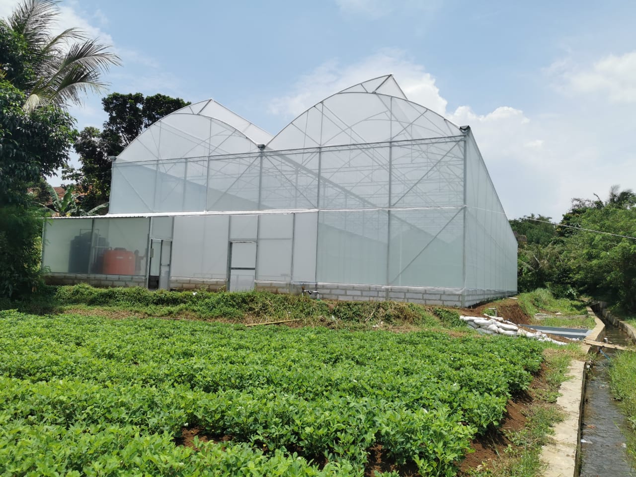 AGROPEDIA NUSANTARA – Kontraktor Greenhouse dan Pelatihan Kerja